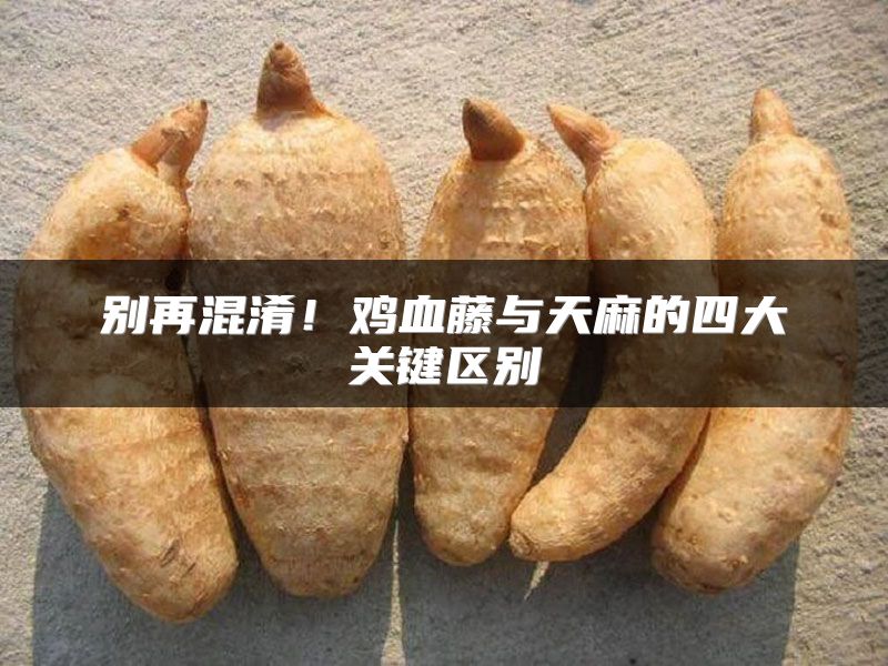 别再混淆！鸡血藤与天麻的四大关键区别