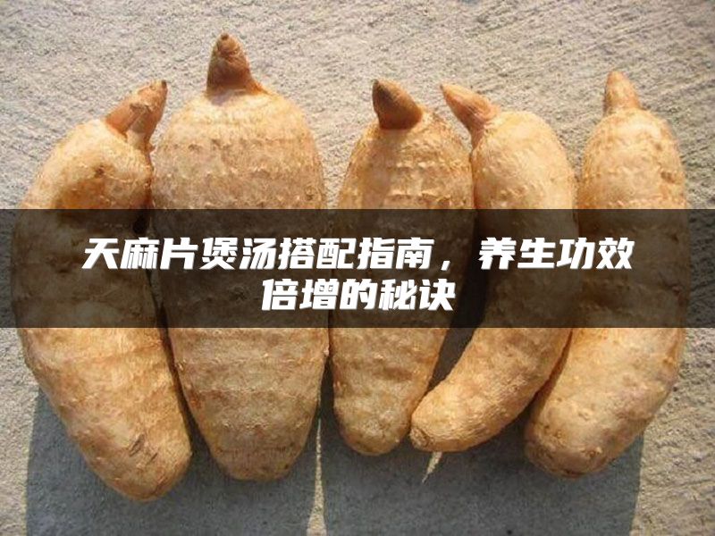 天麻片煲汤搭配指南，养生功效倍增的秘诀