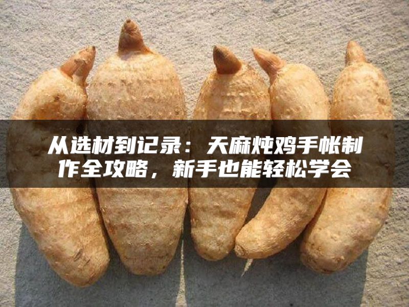从选材到记录:天麻炖鸡手帐制作全攻略,新手也能轻松学会