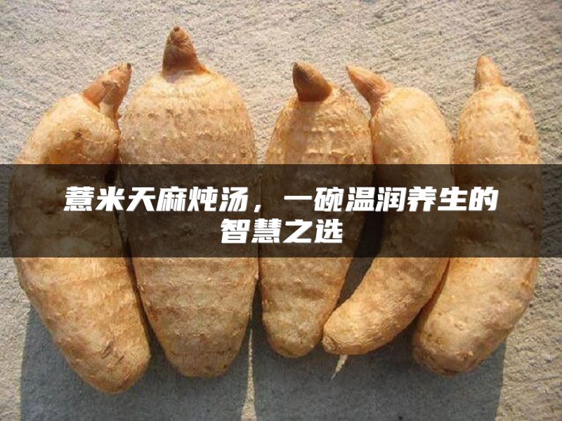 薏米天麻炖汤，一碗温润养生的智慧之选
