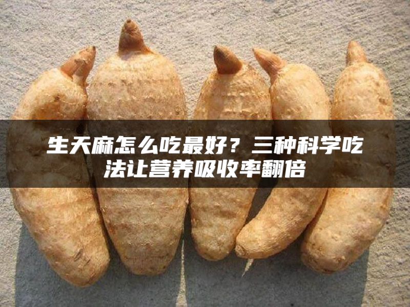 生天麻怎么吃最好?三种科学吃法让营养吸收率翻倍