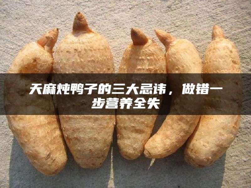 天麻炖鸭子的三大忌讳，做错一步营养全失