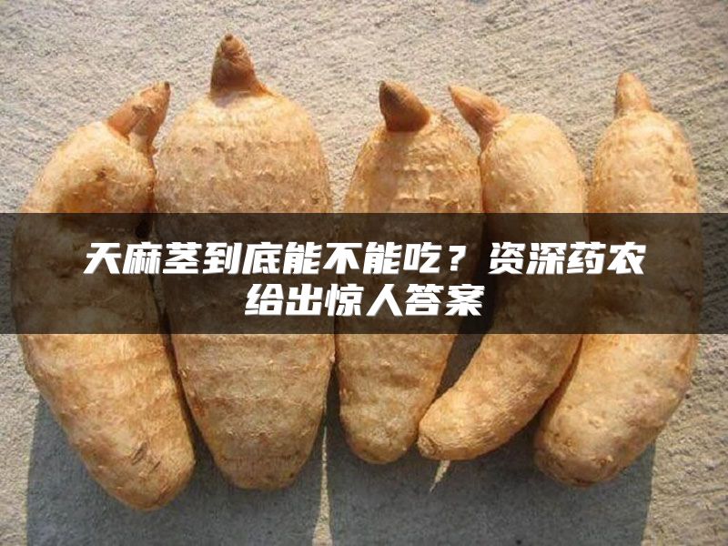 天麻茎到底能不能吃？资深药农给出惊人答案