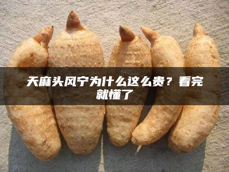 天麻头风宁为什么这么贵？看完就懂了