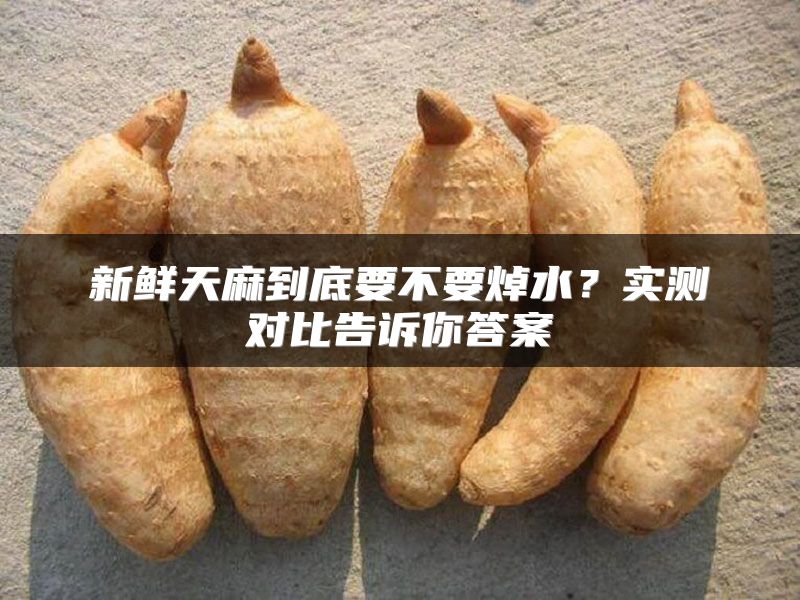 新鲜天麻到底要不要焯水？实测对比告诉你答案