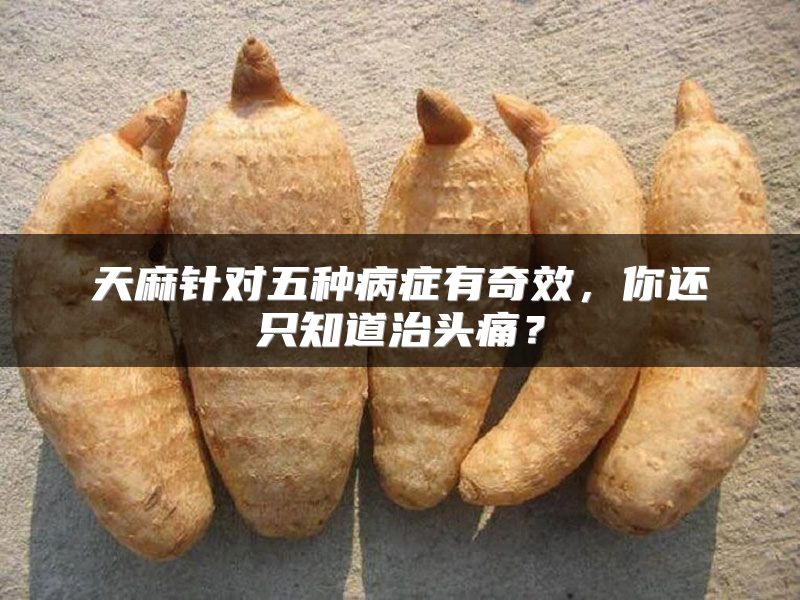 天麻针对五种病症有奇效，你还只知道治头痛？