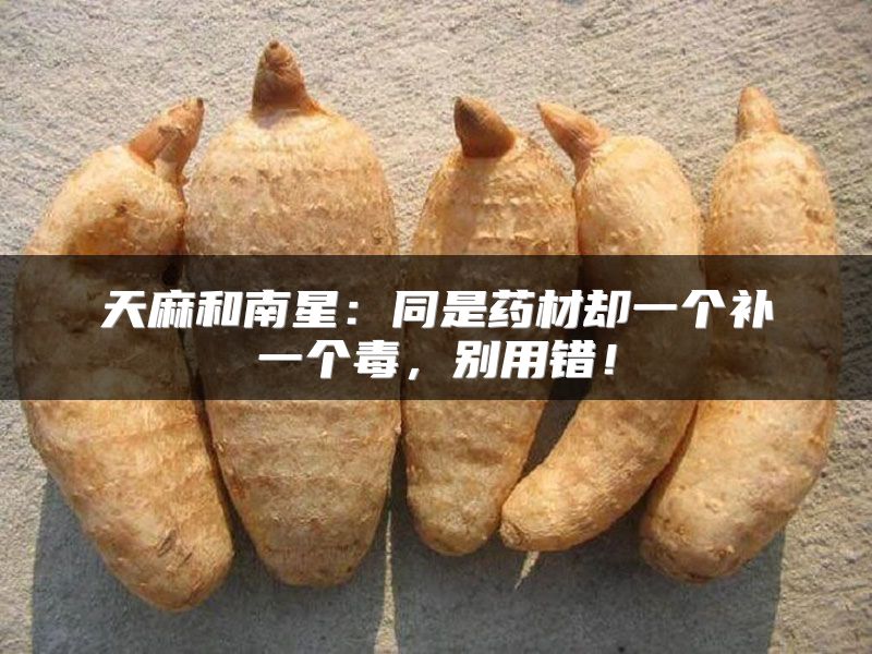 天麻和南星:同是药材却一个补一个毒,别用错!