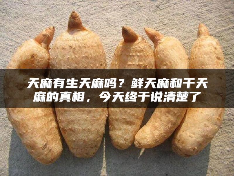 天麻有生天麻吗？鲜天麻和干天麻的真相，今天终于说清楚了