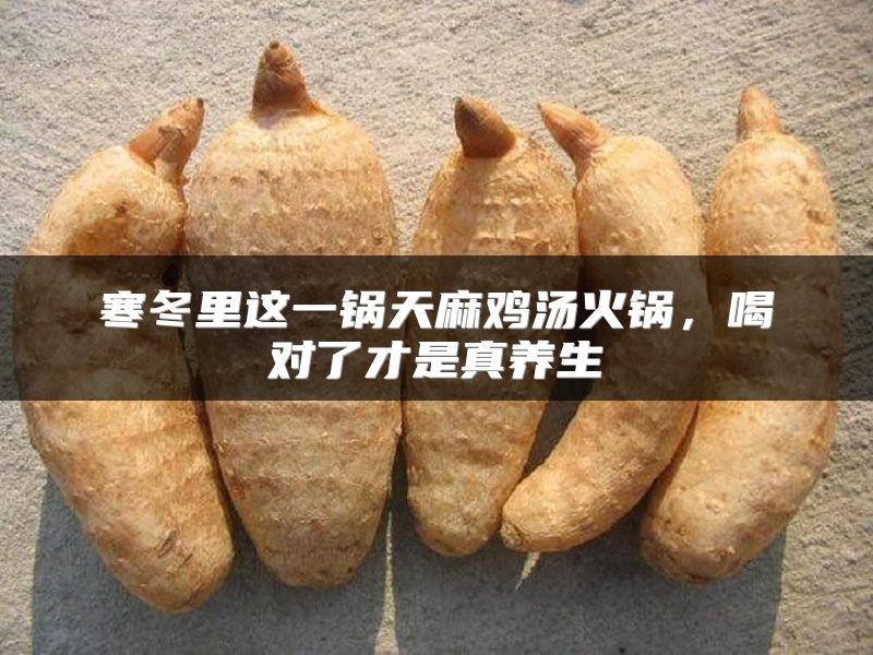 寒冬里这一锅天麻鸡汤火锅,喝对了才是真养生