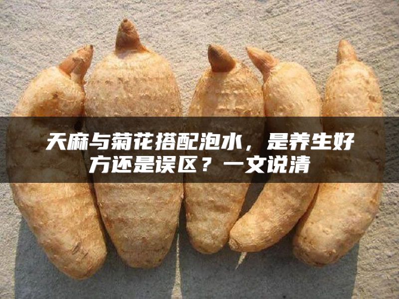 天麻与菊花搭配泡水,是养生好方还是误区?一文说清