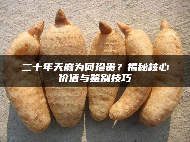 二十年天麻为何珍贵？揭秘核心价值与鉴别技巧