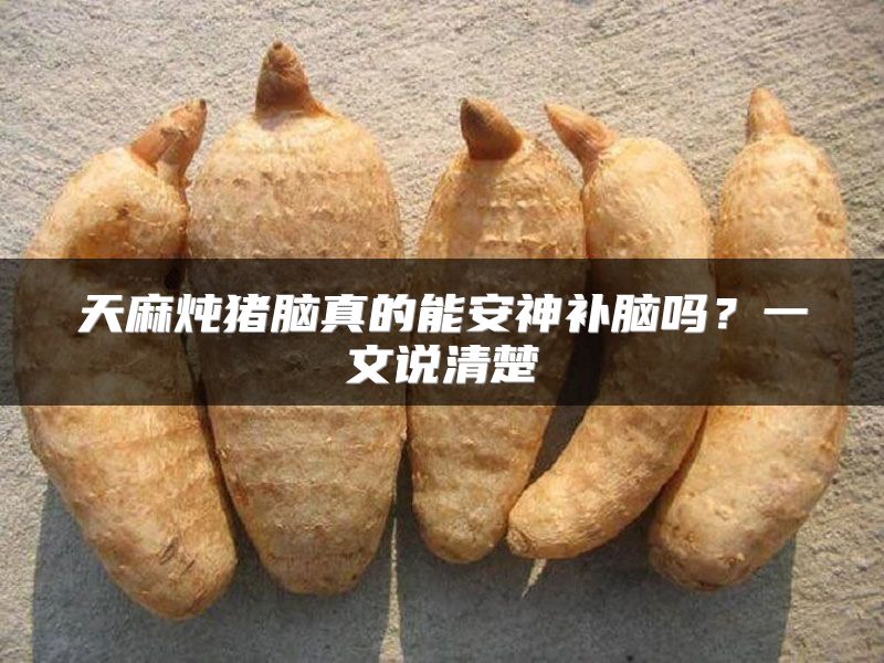 天麻炖猪脑真的能安神补脑吗？一文说清楚