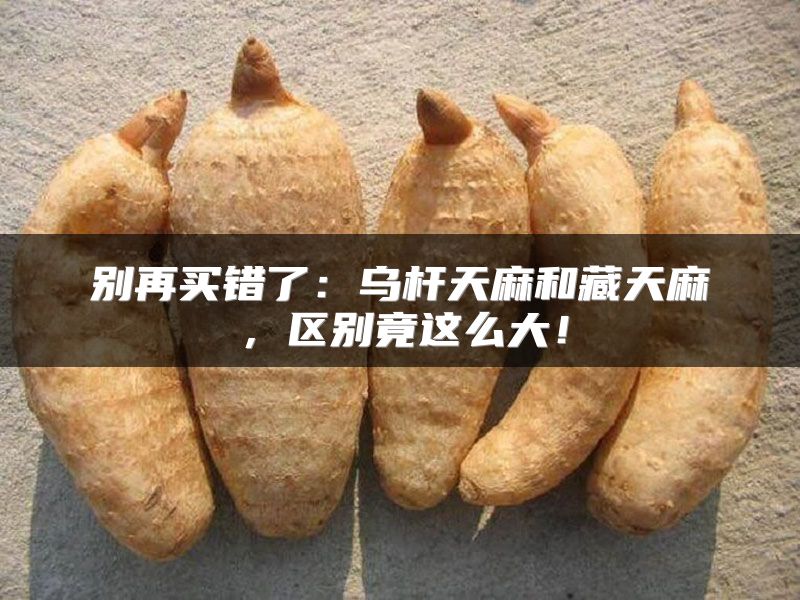 别再买错了:乌杆天麻和藏天麻,区别竟这么大!