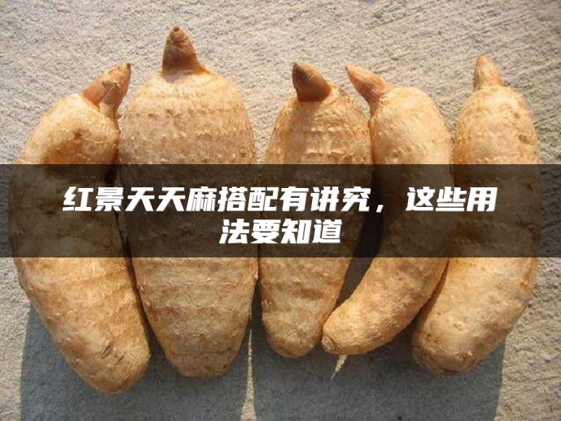 红景天天麻搭配有讲究,这些用法要知道