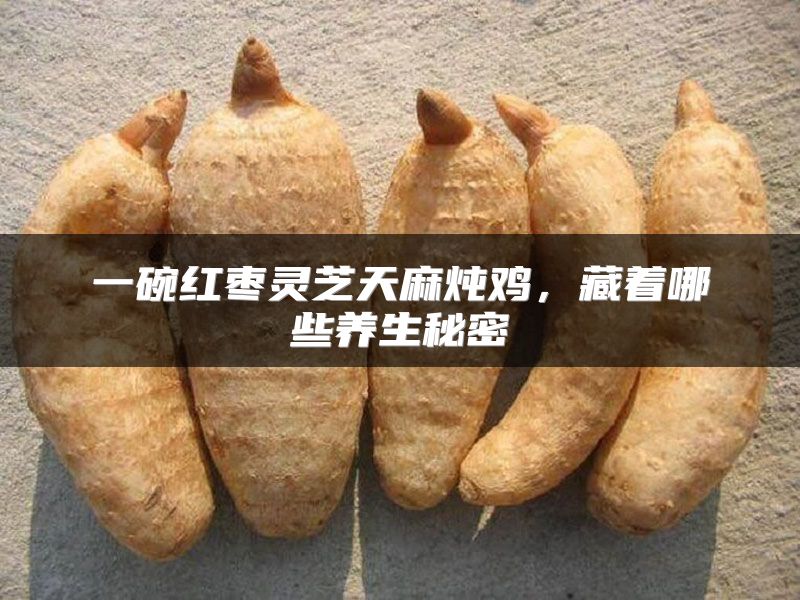 一碗红枣灵芝天麻炖鸡，藏着哪些养生秘密