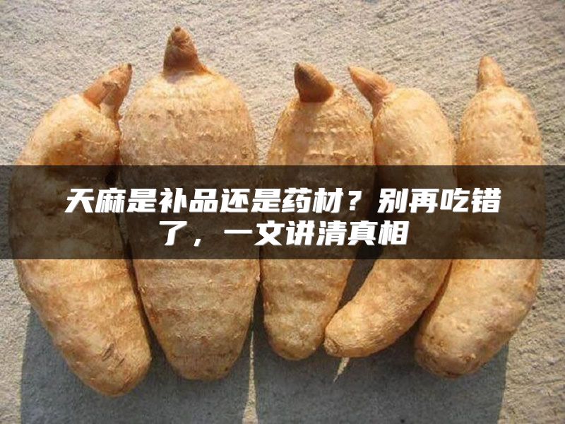 天麻是补品还是药材？别再吃错了，一文讲清真相