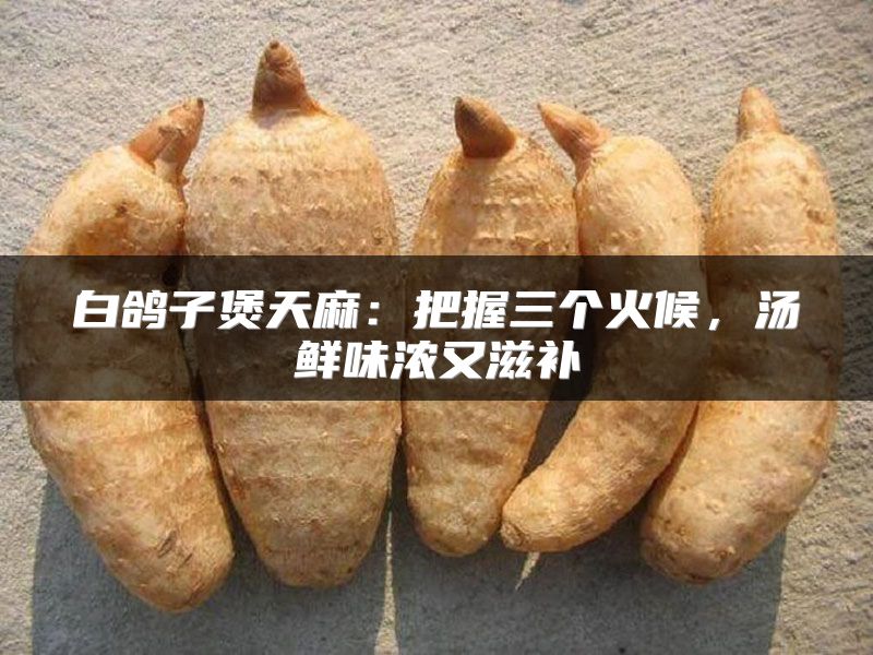 白鸽子煲天麻：把握三个火候，汤鲜味浓又滋补