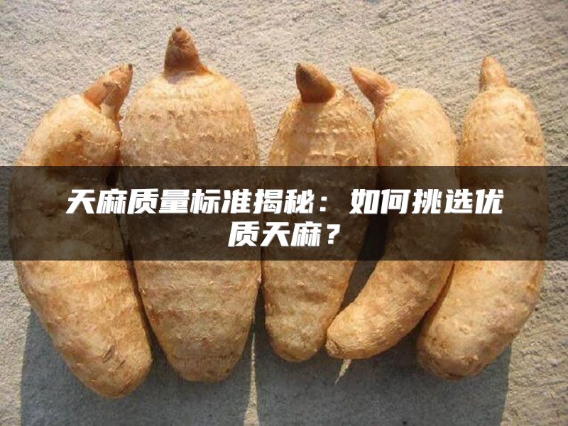 天麻质量标准揭秘：如何挑选优质天麻？