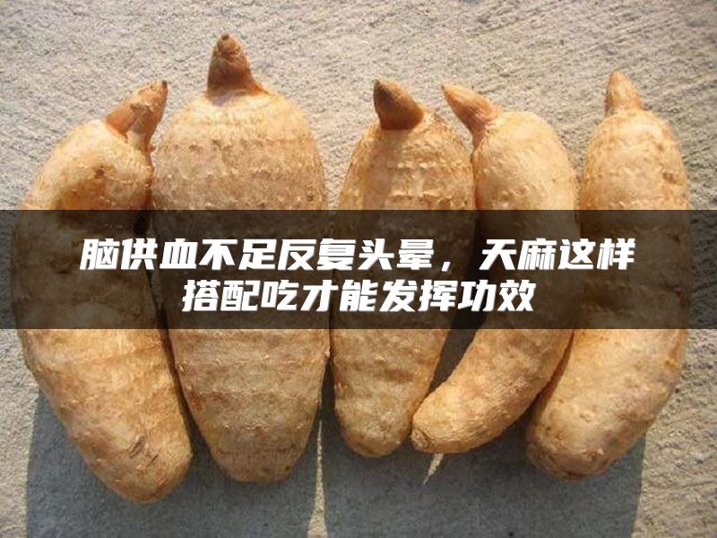 脑供血不足反复头晕，天麻这样搭配吃才能发挥功效