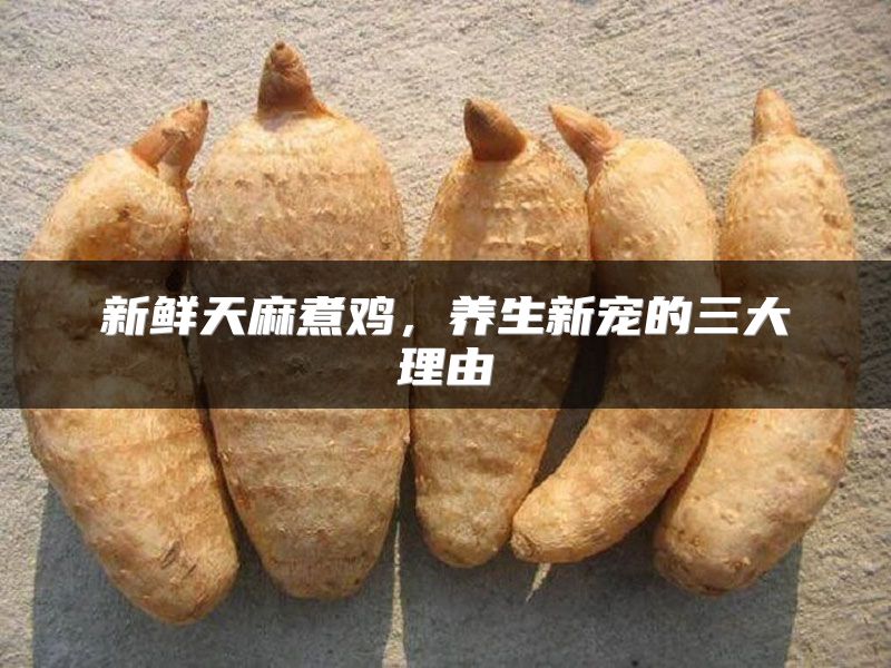 新鲜天麻煮鸡,养生新宠的三大理由