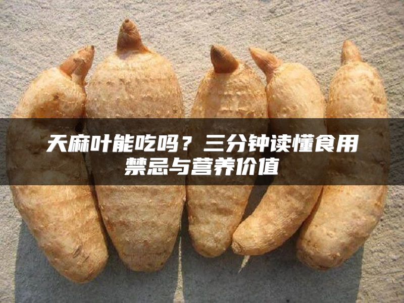天麻叶能吃吗？三分钟读懂食用禁忌与营养价值