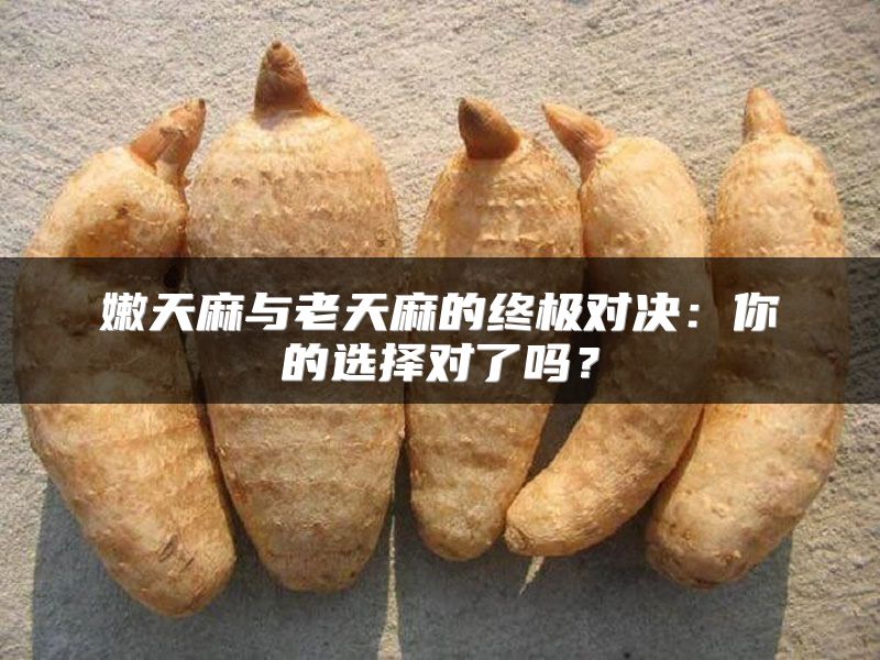嫩天麻与老天麻的终极对决：你的选择对了吗？