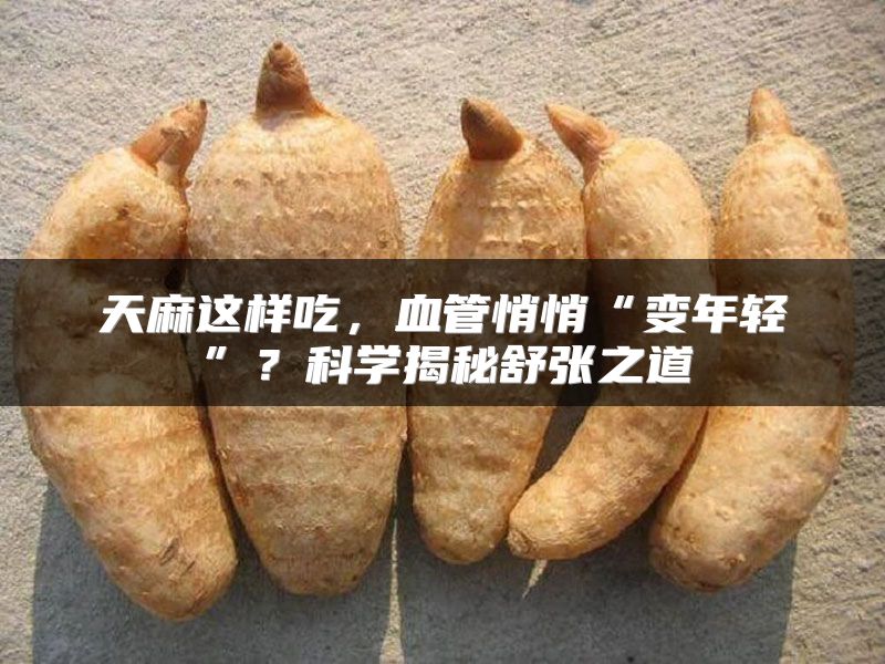 天麻这样吃，血管悄悄“变年轻”？科学揭秘舒张之道