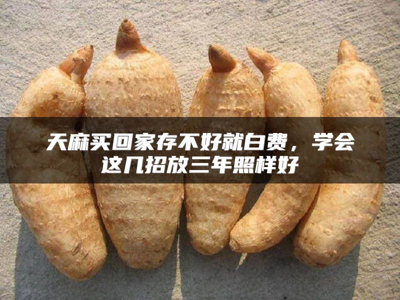 天麻买回家存不好就白费，学会这几招放三年照样好