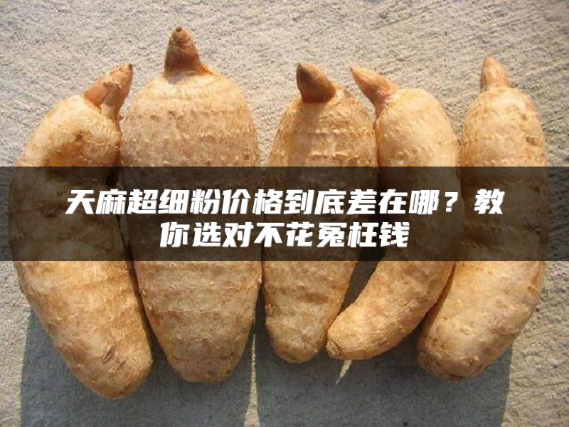 天麻超细粉价格到底差在哪？教你选对不花冤枉钱