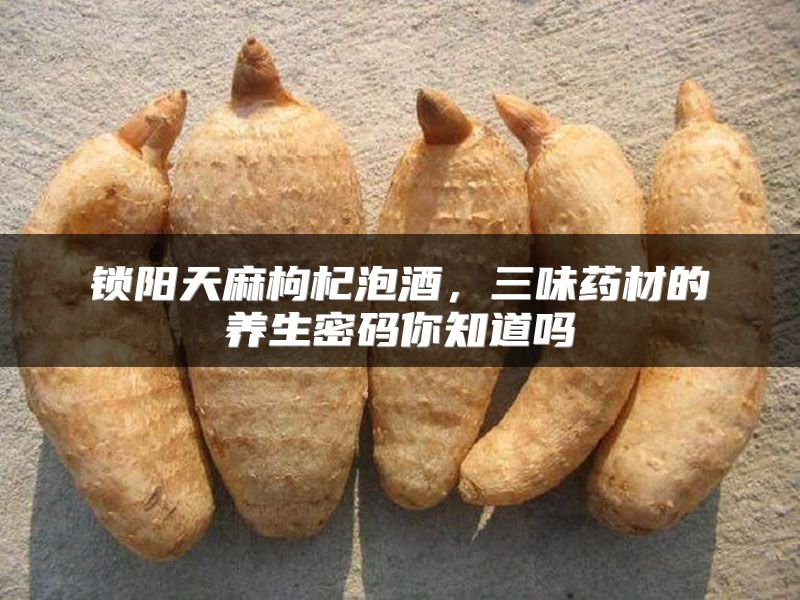 锁阳天麻枸杞泡酒，三味药材的养生密码你知道吗