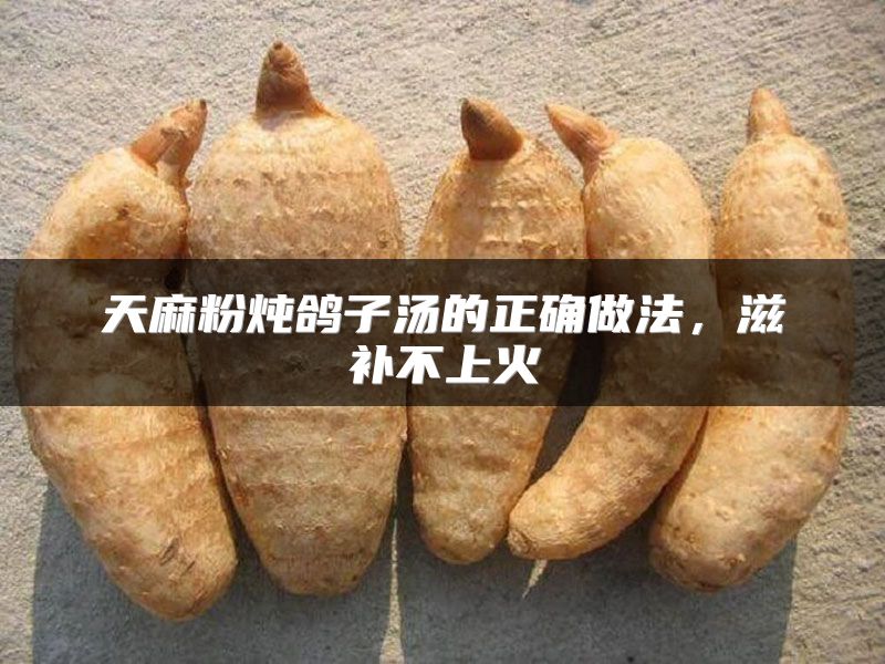 天麻粉炖鸽子汤的正确做法，滋补不上火