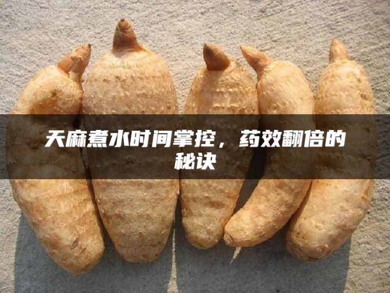 天麻煮水时间掌控，药效翻倍的秘诀