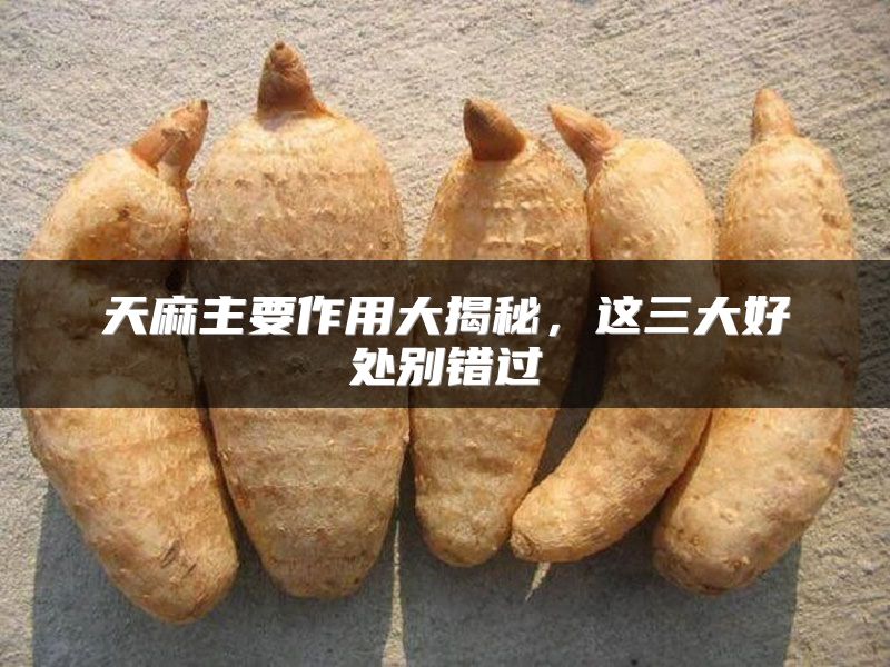 天麻主要作用大揭秘，这三大好处别错过