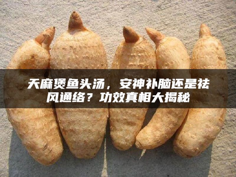 天麻煲鱼头汤，安神补脑还是祛风通络？功效真相大揭秘