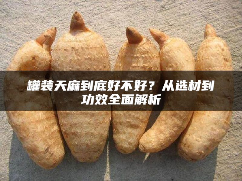 罐装天麻到底好不好？从选材到功效全面解析