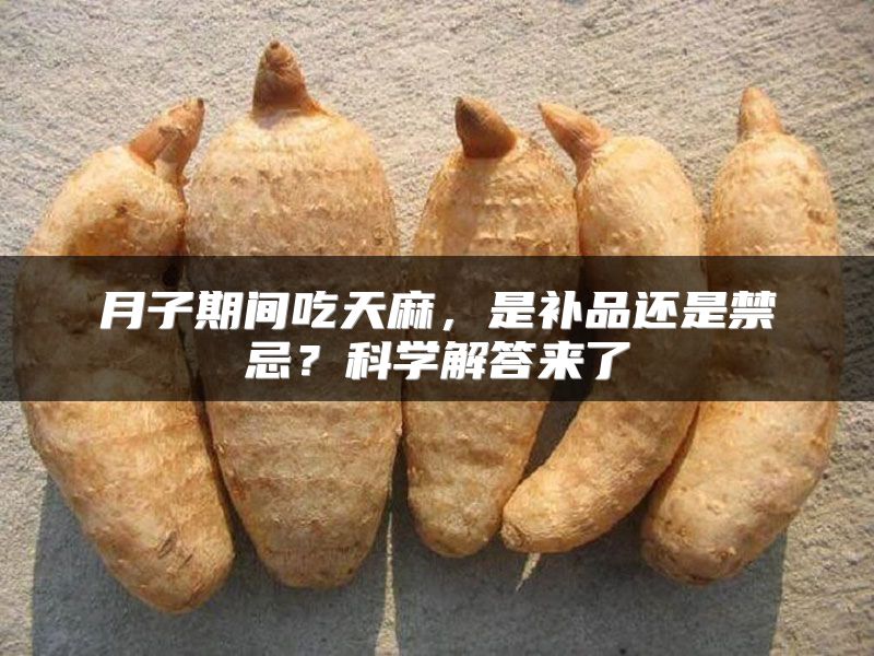 月子期间吃天麻，是补品还是禁忌？科学解答来了