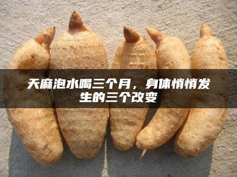 天麻泡水喝三个月，身体悄悄发生的三个改变