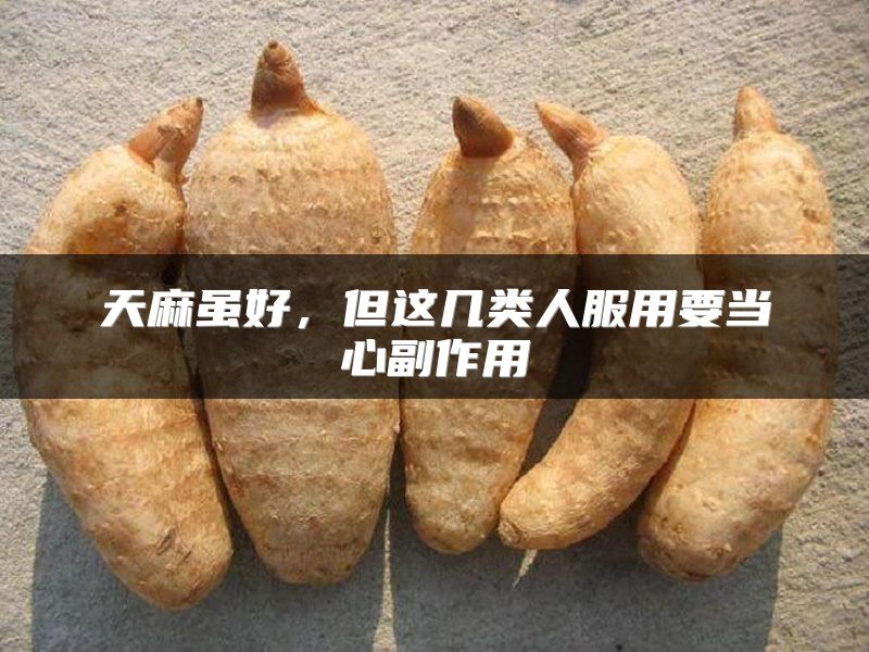 天麻虽好,但这几类人服用要当心副作用