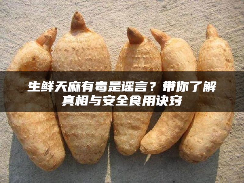 生鲜天麻有毒是谣言？带你了解真相与安全食用诀窍