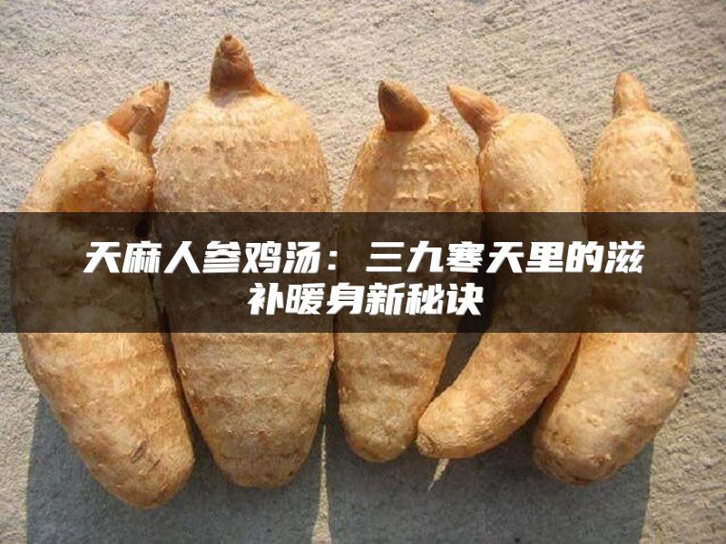 天麻人参鸡汤：三九寒天里的滋补暖身新秘诀