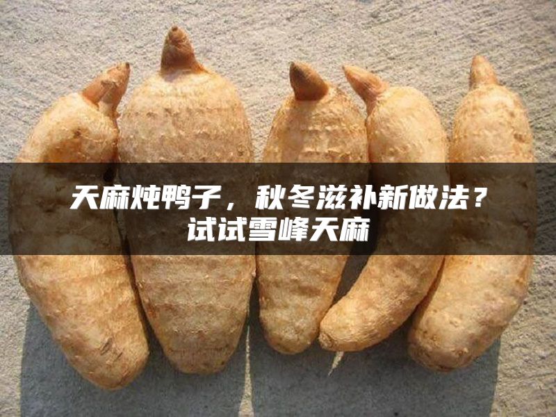 天麻炖鸭子，秋冬滋补新做法？试试雪峰天麻
