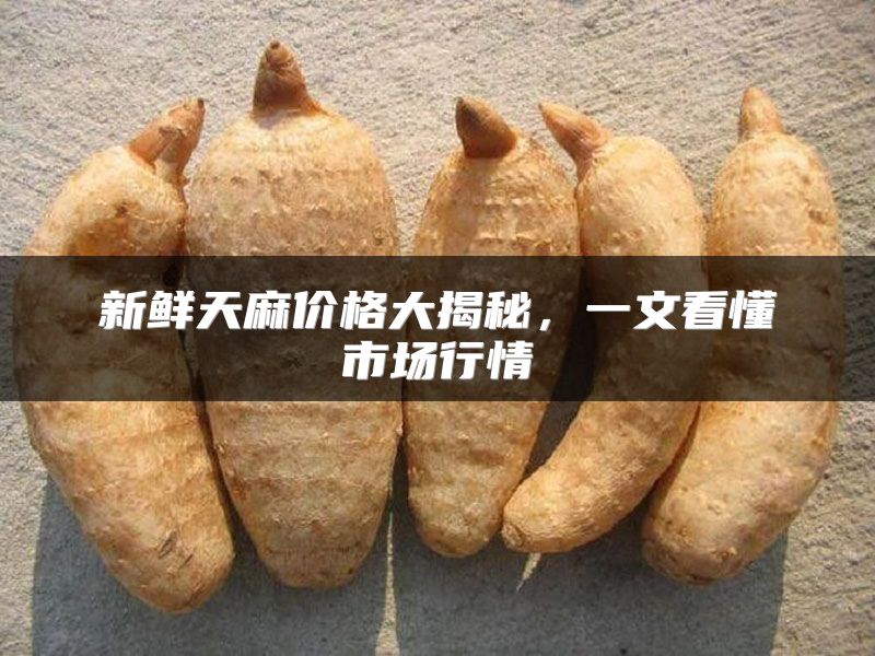 新鲜天麻价格大揭秘，一文看懂市场行情
