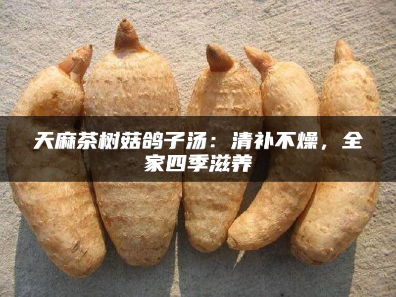 天麻茶树菇鸽子汤:清补不燥,全家四季滋养
