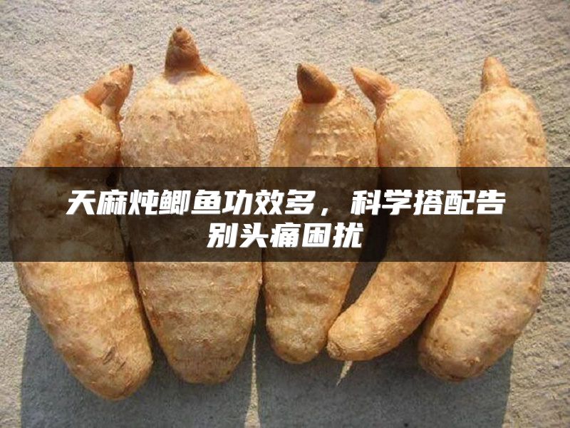 天麻炖鲫鱼功效多，科学搭配告别头痛困扰