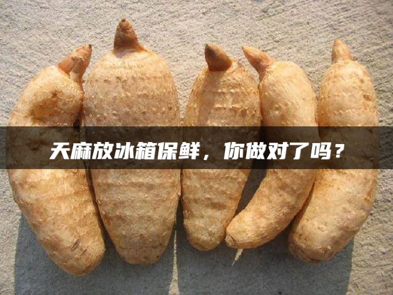 天麻放冰箱保鲜,你做对了吗?