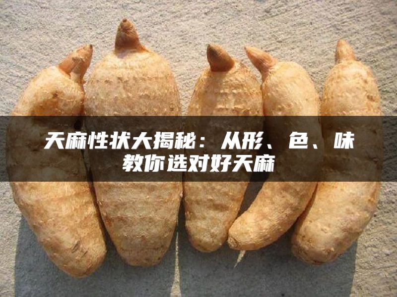天麻性状大揭秘：从形、色、味教你选对好天麻