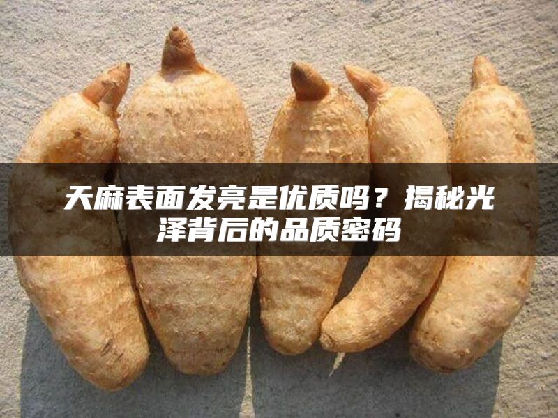 天麻表面发亮是优质吗？揭秘光泽背后的品质密码