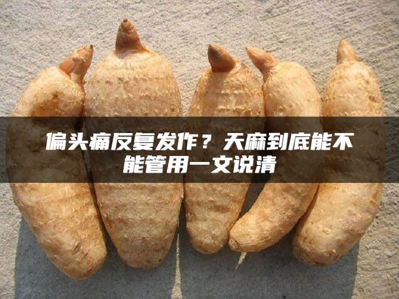 偏头痛反复发作？天麻到底能不能管用一文说清