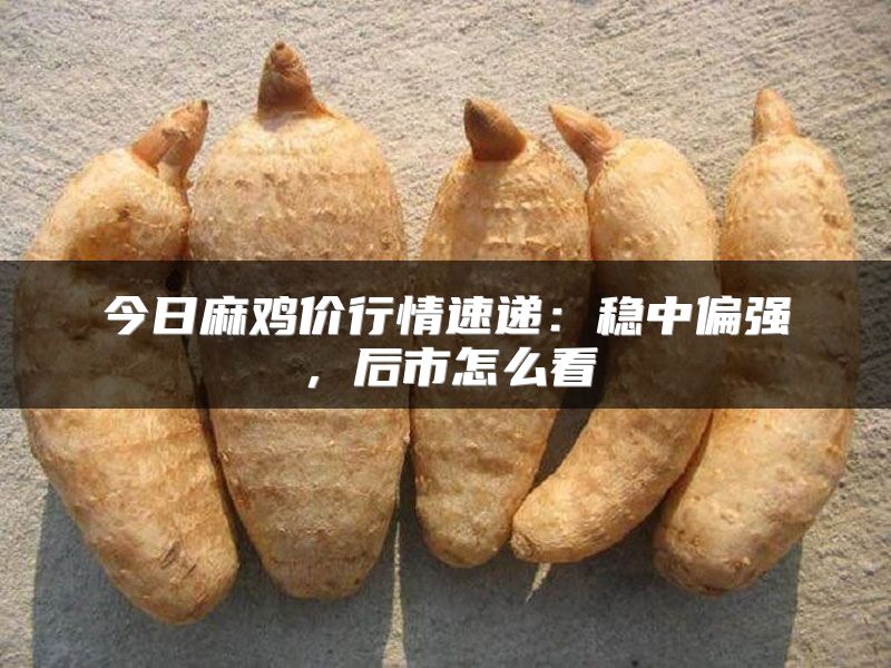今日麻鸡价行情速递：稳中偏强，后市怎么看