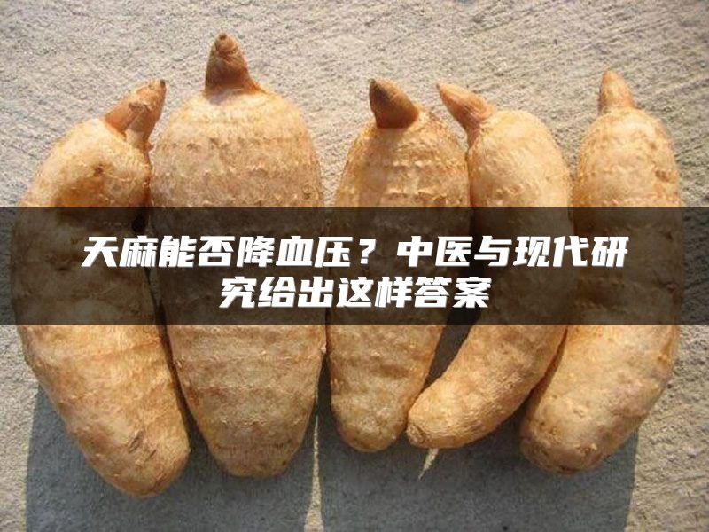 天麻能否降血压？中医与现代研究给出这样答案